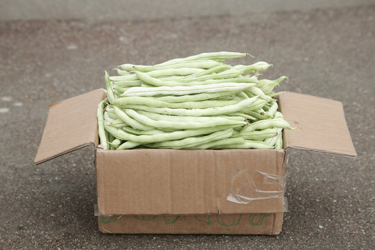 Fresh White Runner Beans in Cardboard Box - Farm Picked Vegetables Ready for Market