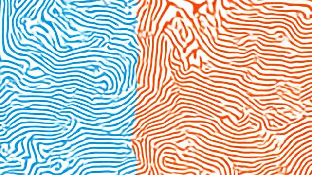 Abstract half-blue half-red line pattern on white, resembling topography