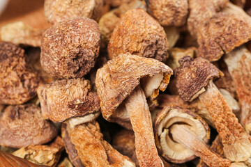 Fresh Raw Matsutake Mushrooms from Yunnan China - Premium Asian Fungi Cooking Ingredient