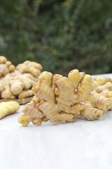Fresh Yellow Ginger Roots from Yunnan Plateau China - Freshly Dug Small Organic Spice Harvest
