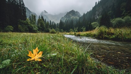 Mountain valley stream landscape