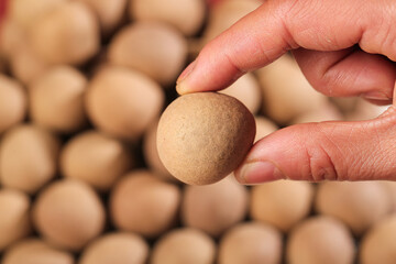 Hand Holding Fresh Brown Egg with Organic Eggs Background