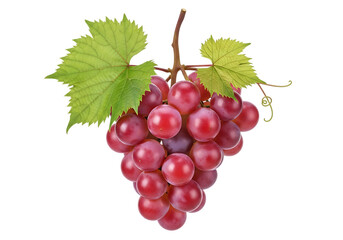 Fototapeta premium A ripe bunch of red grapes with green leaves isolated on transparent background