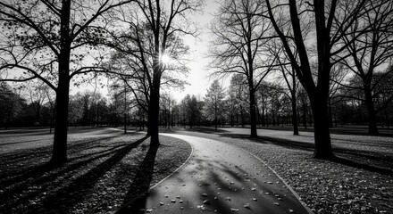 Black and white park path winding through bare trees on a sunny day.