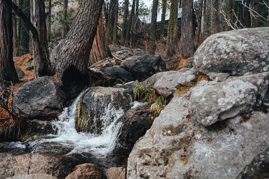 Pinecrest Lake Loop