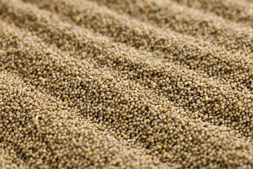Organic Millet Grains Close-Up Texture - Highland Farmers Harvest Natural Cereal Seeds