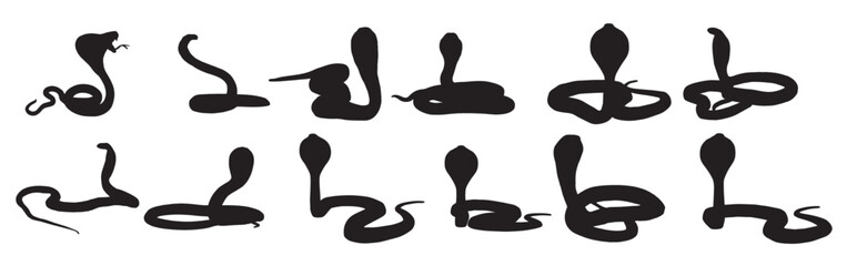 cobra snakes silhouette on white background 
