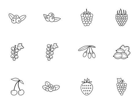 Berry Fruit Line Art SVG Icons Set