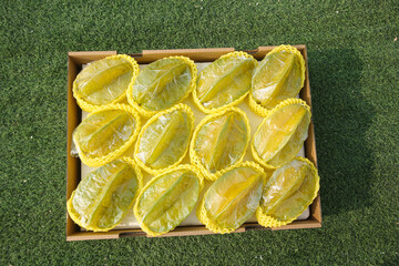 Ripe Peaches in Yellow Protective Packaging Box on Grass - Fresh Fruit from Zhangzhou