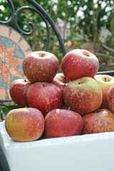 Fresh Daliangshan Yanyuan Apples Direct Farm Supply Organic Red Fruit Harvest Bowl Display