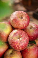 Fresh Red Apples from Daliangshan Yanyuan China Mountain Orchard Production