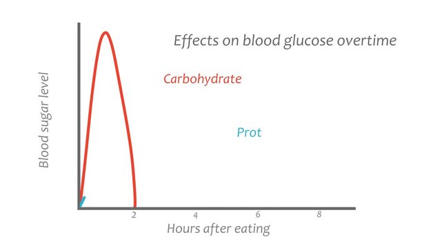 Protein, fat and carbohydrate effects on blood sugar level. Chart showing blood sugar balance after meal.