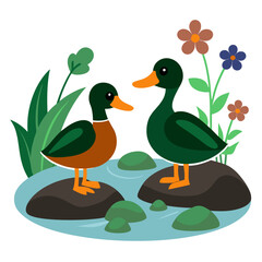 Two mallard ducks standing on rocks in a calm stream surrounded by lush greenery and wildflowers vector on white background.