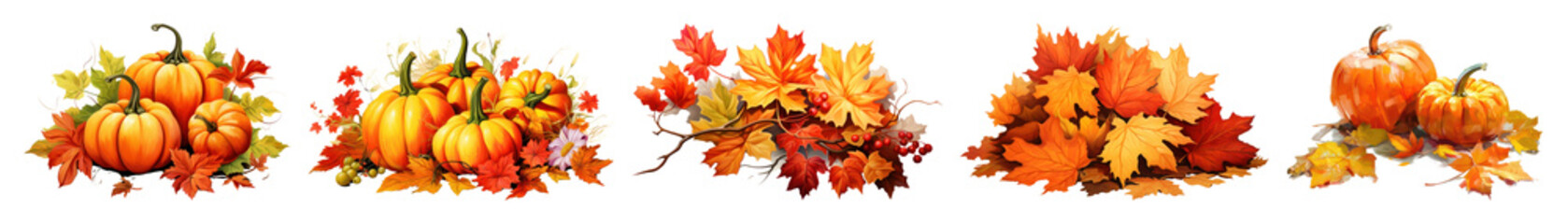PNG Autumn pumpkins and colorful leaves, element set on transparent background