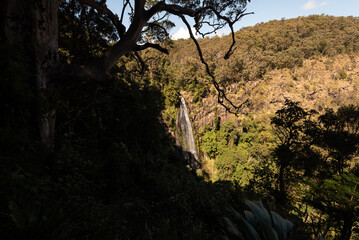 Morans Falls in Lamington National Park, Queensland, Australia. The falls are narrow, but eighty metres tall.
