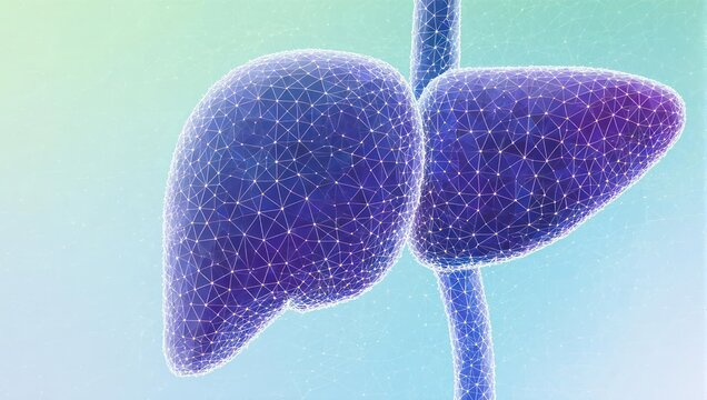 Stunning digital rendering of a healthy human liver, visualized with intricate geometric network for medical research and science