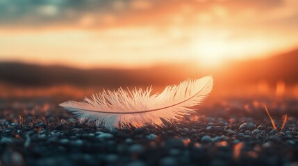 Delicate Feather Illuminated by Warm Sunset Light on Pebbled Ground