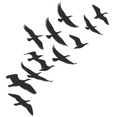 A flock of silhouetted birds flying in formation against a white background