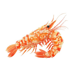Deliciously Crispy Salt and Pepper Shrimp Appetizer Recipe Isolated On Transparent Background.