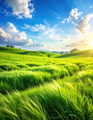 Vibrant green field under a brilliant blue sky with fluffy white clouds and a radiant sunlight shining over a distant horizon
