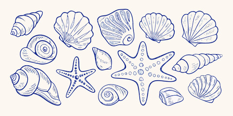 Collection of hand drawn blue seashells and starfish on a light cream background