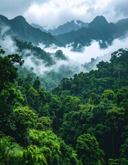 Lush green rainforest valley vista, shrouded in low-hanging clouds with imposing mountains in the distance under an overcast sky, creating a moody scene