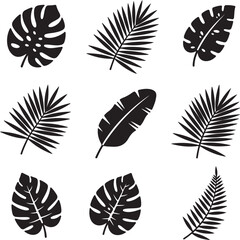 Obraz premium Monstera Leaves Set: A striking collection of nine intricately detailed tropical leaves in black silhouette against a clean background, perfect for adding a touch of exotic elegance to any design.