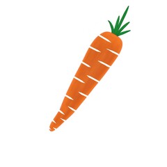 Cartoon carrot illustration. Hand-drawn carrot vegetable icon. Orange carrot fruit symbol.