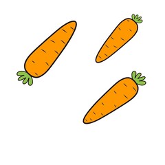 Cartoon carrot illustration. Hand-drawn carrot vegetable icon. Orange carrot fruit symbol.