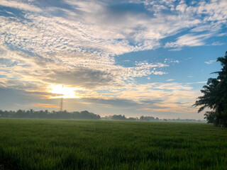 Stunning moment of the morning atmosphere in the rice fields in a village, the sun rises with the reflection of the sun on the agricultural land 