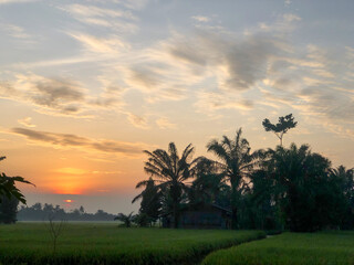 Stunning moment of the morning atmosphere in the rice fields in a village, the sun rises with the reflection of the sun on the agricultural land 