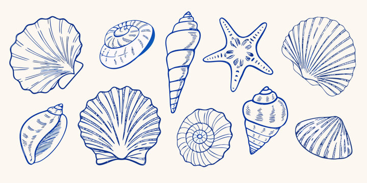 Collection of hand drawn blue line art seashells and starfish on a cream background