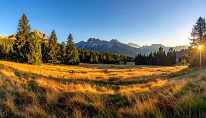 Golden meadow view Mountains, trees, and long grass under a blue sky at sunrise with radiant sunlight creating warm tones