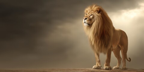 Fototapeta premium World Lion Concept. Majestic lion standing on a rocky surface under dramatic skies.