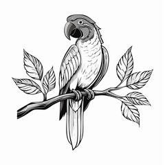 parrot on a branch © 3okaad_Vectors