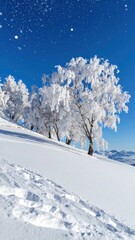 Frosty, snow-covered trees adorn a hillside under a bright blue sky with faint stars. Footprints are visible in the foreground snow