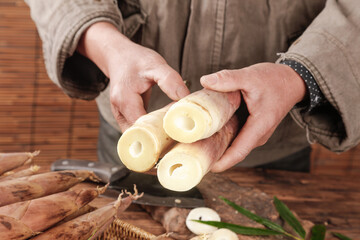 Freshly Cut Bamboo Shoots Held in Hands Showing Natural Hollow Cross Section