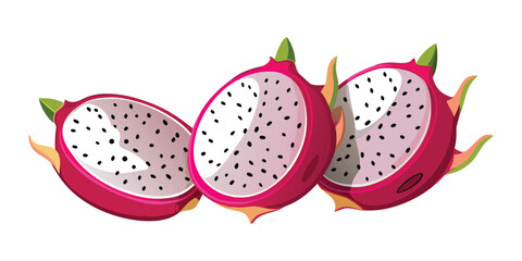 Dragon fruit vector illustration featuring tropical fruits for creative projects design
