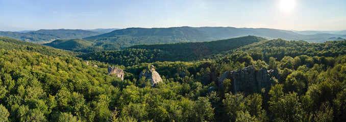 Panoramic view of bright landscape with green forest trees and big rocky boulders between dense woods in summer. Beautiful scenery of wild woodland