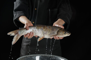 Fisherman holding fresh caught fish over bucket with water dripping from live catch