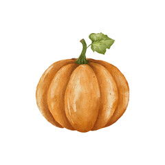 Pumpkin watercolor isolated vector white background