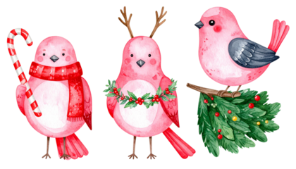 Festive holiday bundle of three adorable pink bird characters isolated on transparent background