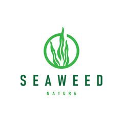 Fototapeta premium seaweed logo with a simple minimalist concept of ocean plant fish, design, symbol, illustration, template