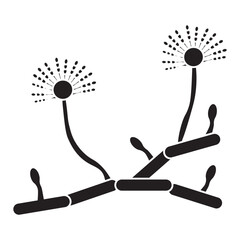 Aspergillus Fungus Glyph Icon