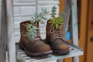 店頭のブーツの鉢植え