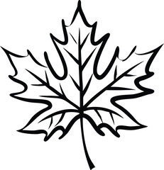 Detailed silhouette of a single maple leaf with intricate veins isolated on white background