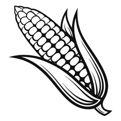 vector illustration of a corn