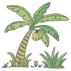 vector illustration of a banana tree
