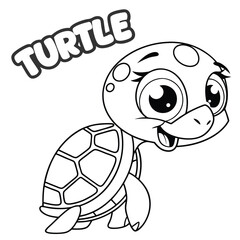 hand drawn turtle on white background