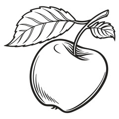 hand drawn vector illustration of apple